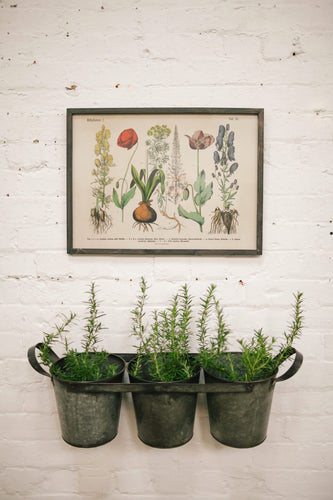 Furniture Road - Botanical Prints